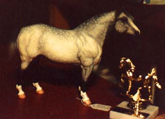 dapple grey adios with trophy