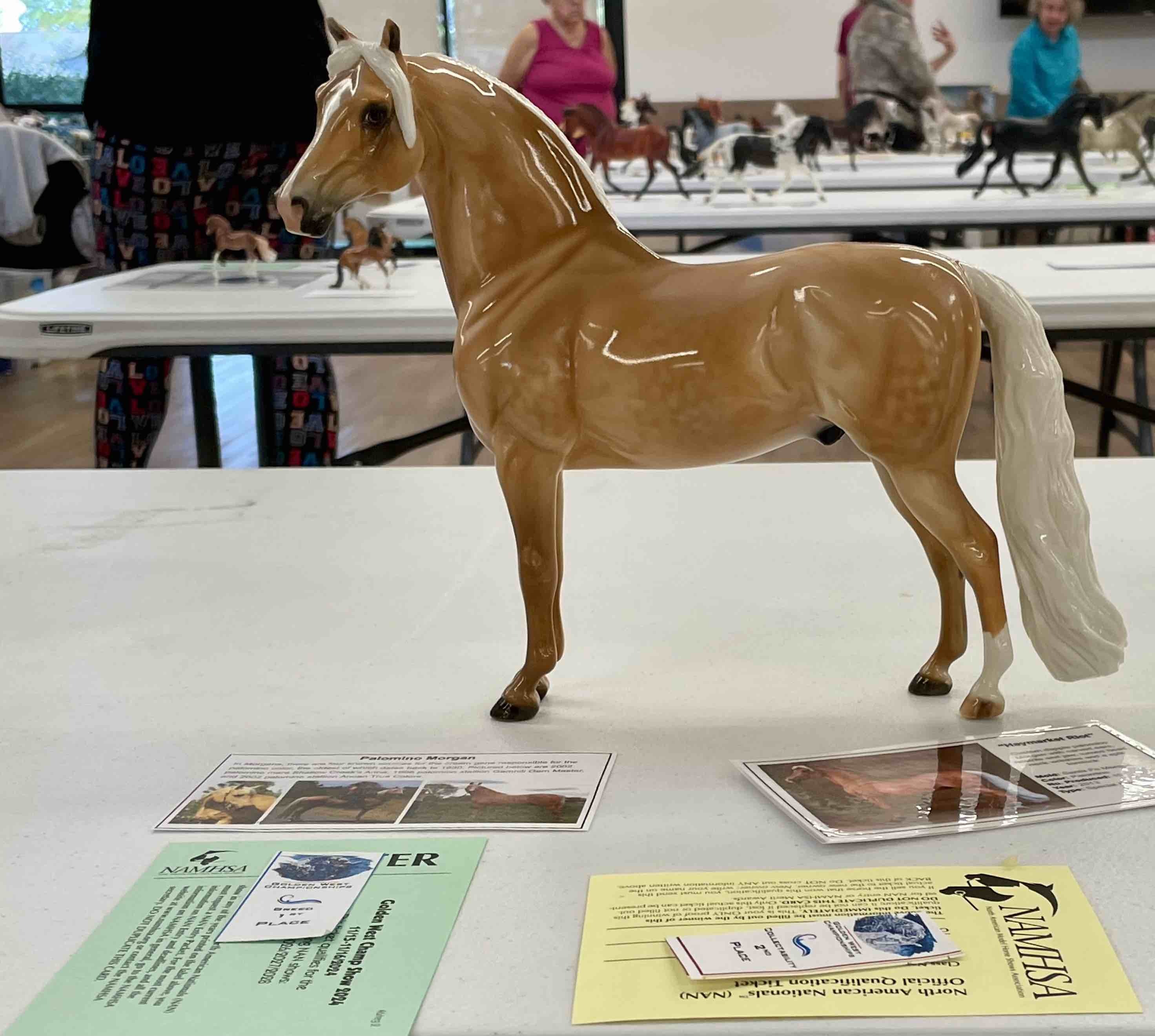 Glossy stone dapple palomino Morgan with documentation, placings, and NAN cards