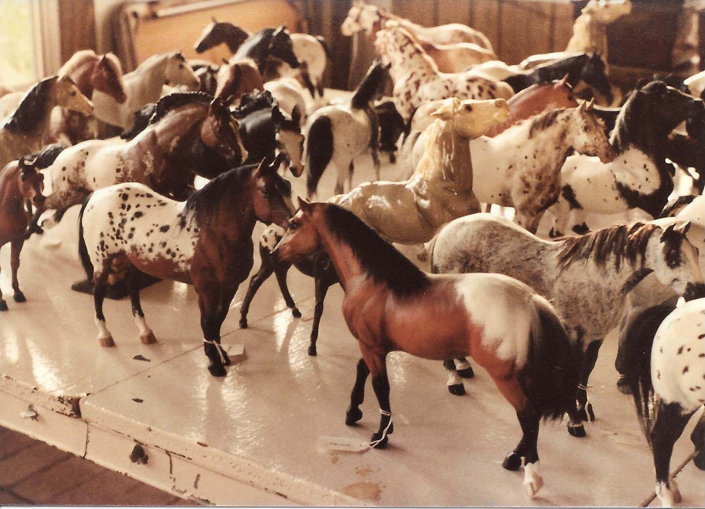 Lots of appaloosa model horses on a card table, a mix of customs and original finish Breyers.