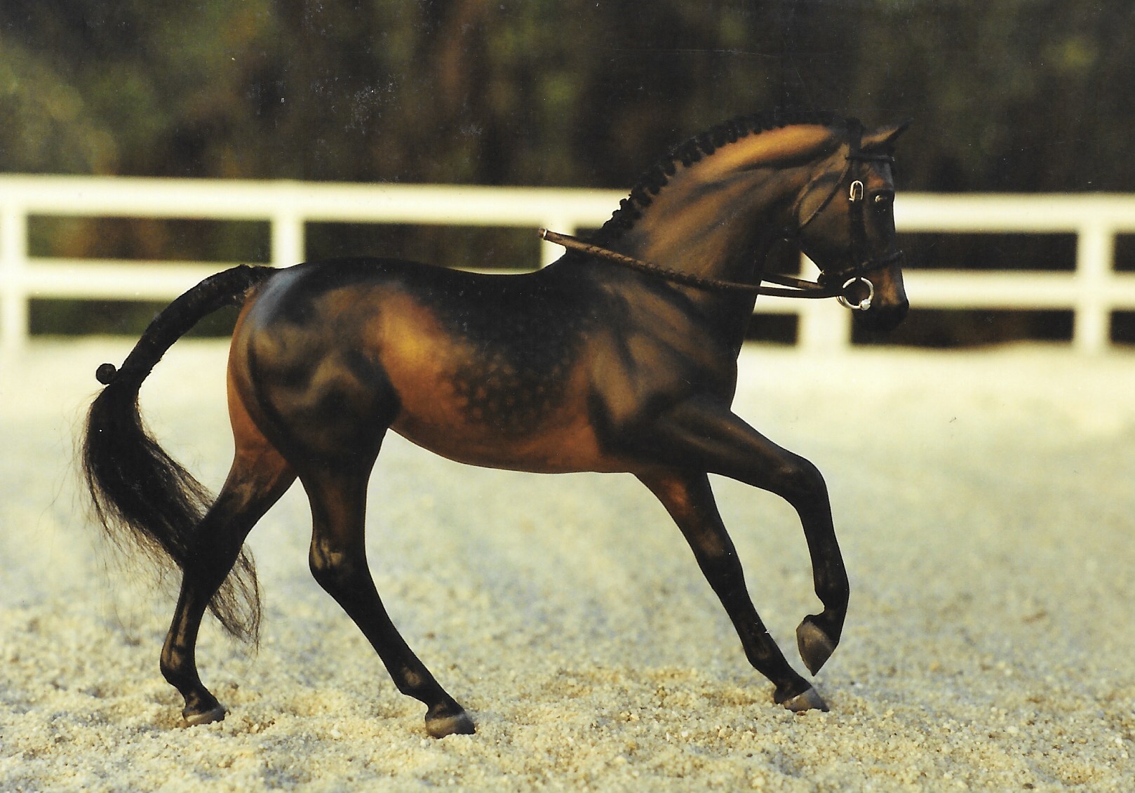 Ruffian remade into a dark dappled bay, cantering with head tucked