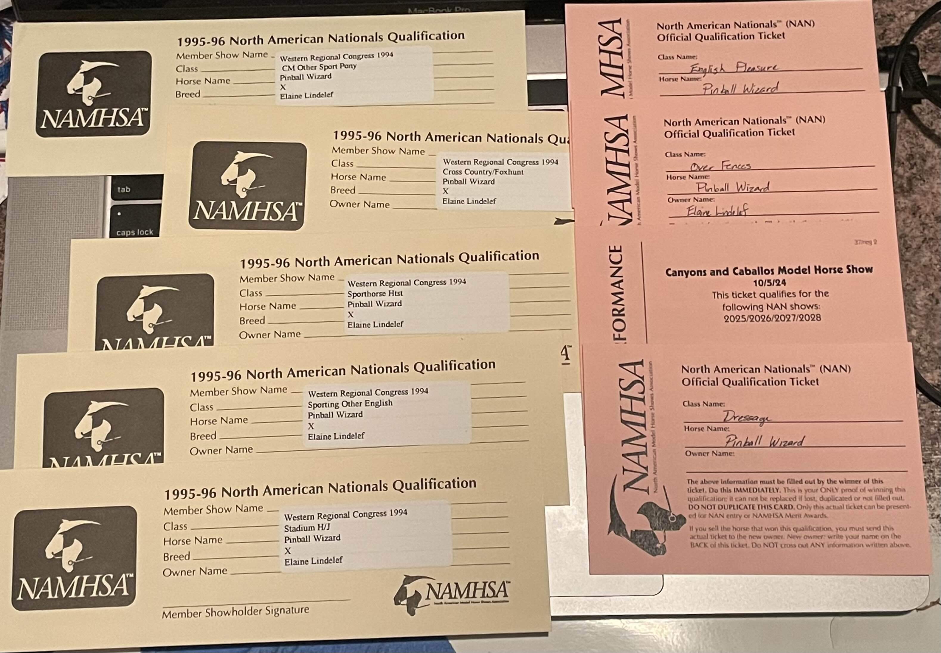 NAN cards arrayed on a computer