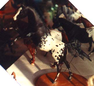  a drastic custom appaloosa from an Indian Pony to a rearing position with a string mane and tail