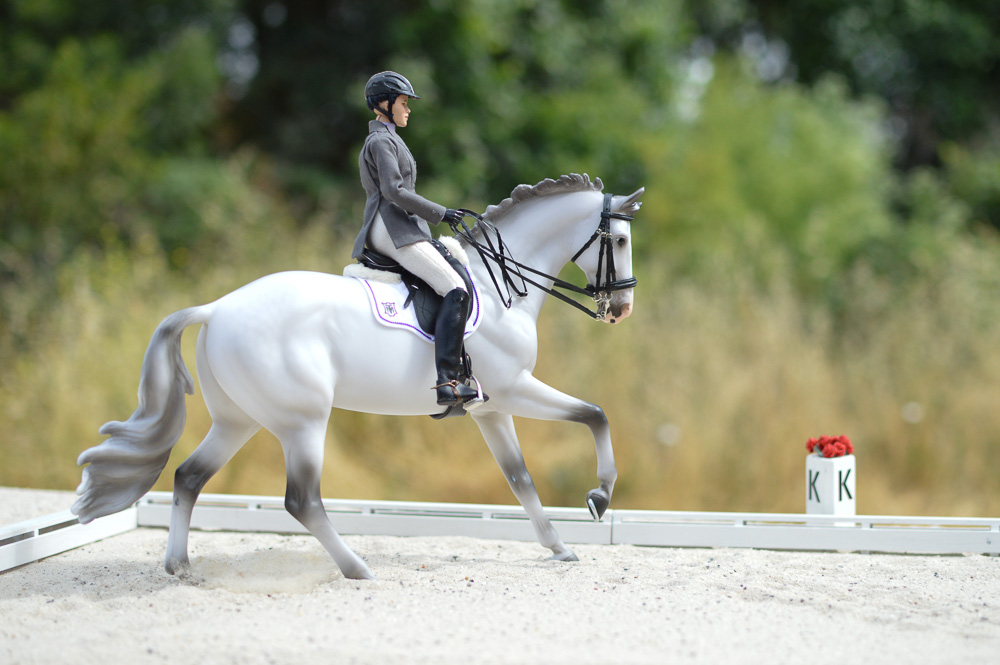 Catch Me model with rider up in a dressage scene