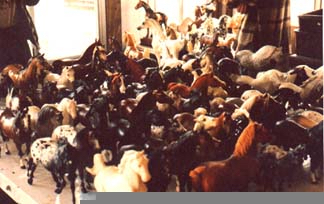 So many model horses on a table