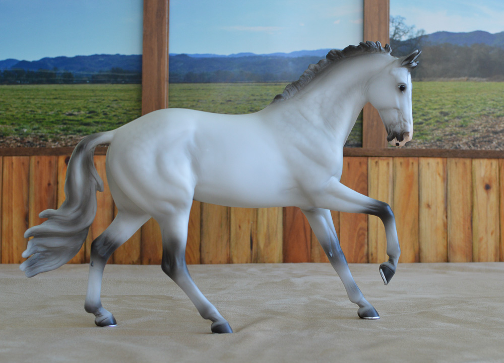 Grey model horse (Catch Me) cantering right in front of an indoor arena background