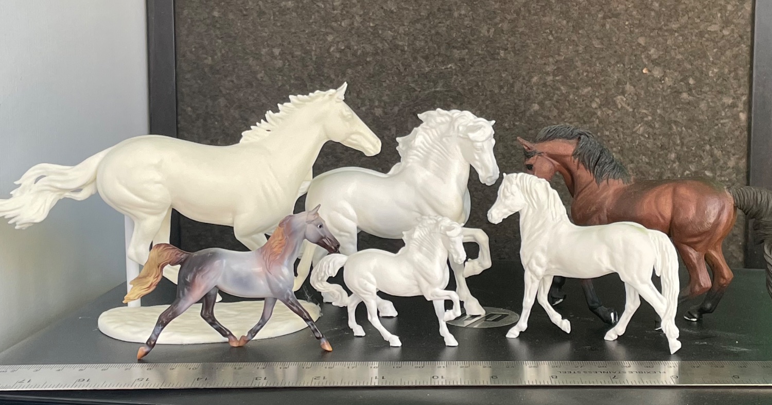 An arrangement of different sized model horse bodies described in the text with a ruler in front and a corkboard behind