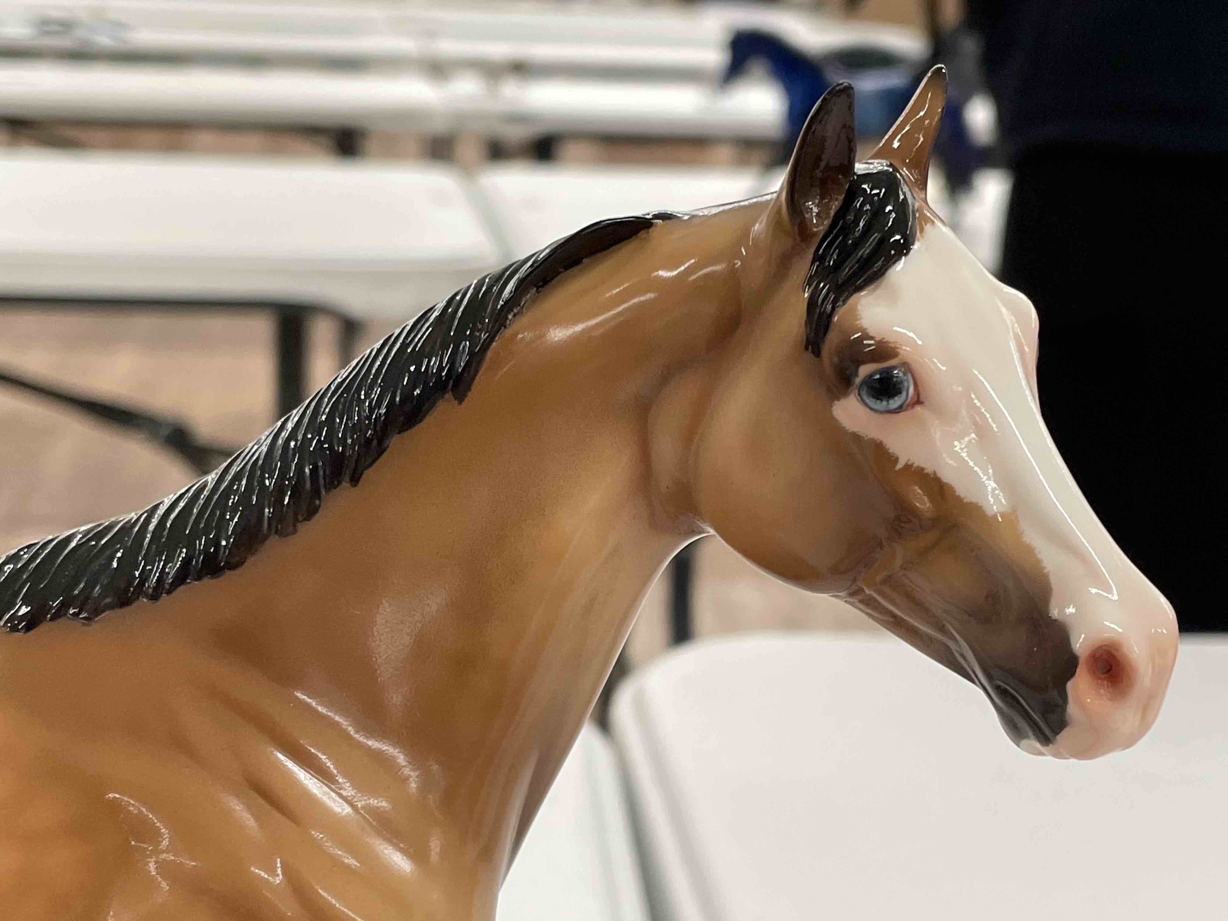 face closeup of glossy dapple buckskin paint Stone Ideal Quarter Horse 