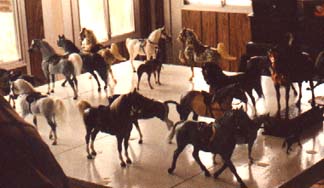 A table full of model horses wearing english tack
