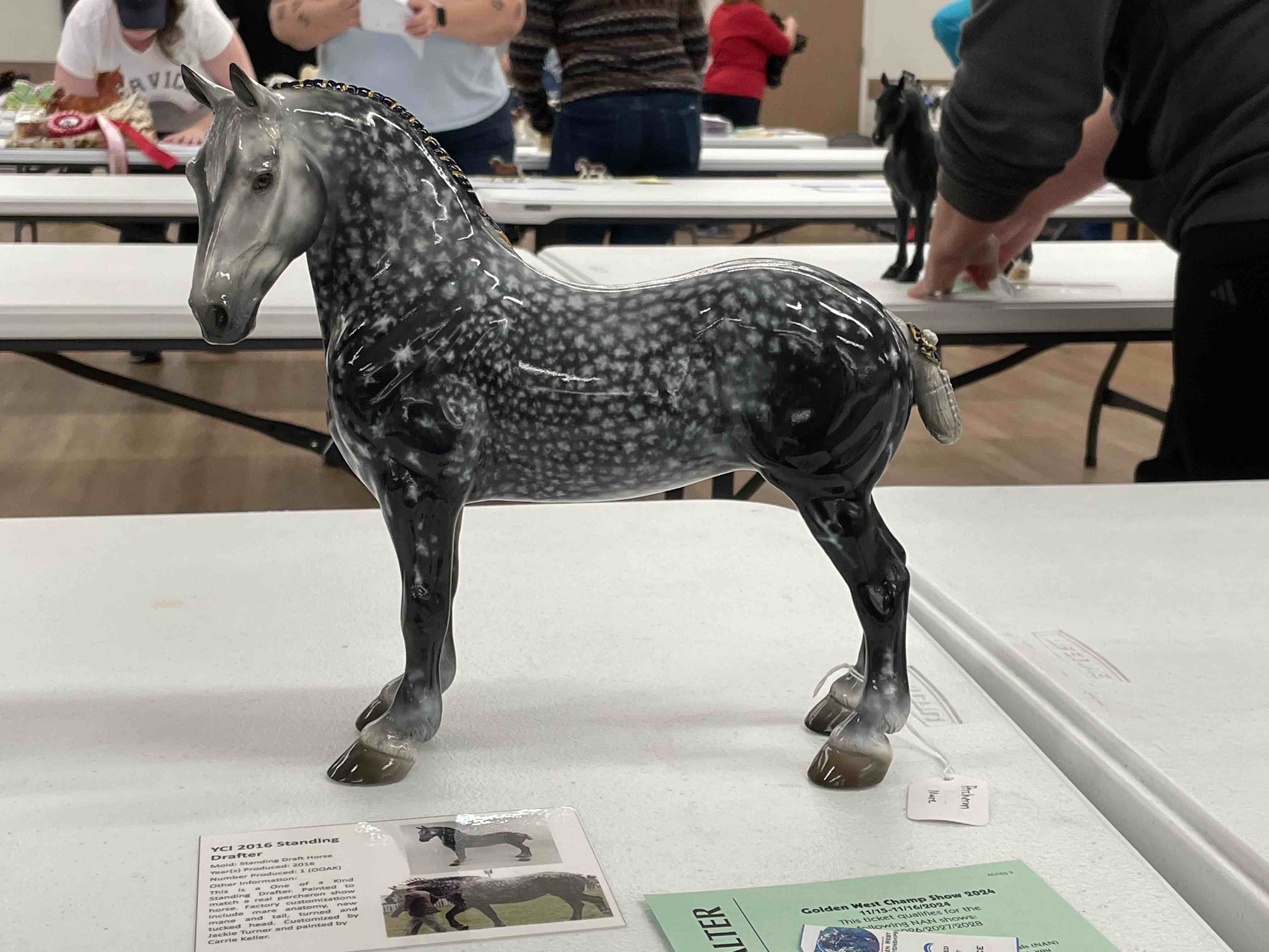 left side of the percheron, a rich and contrasty glossy dapple grey